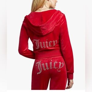 Juicy Couture Men's Bling Hoodie